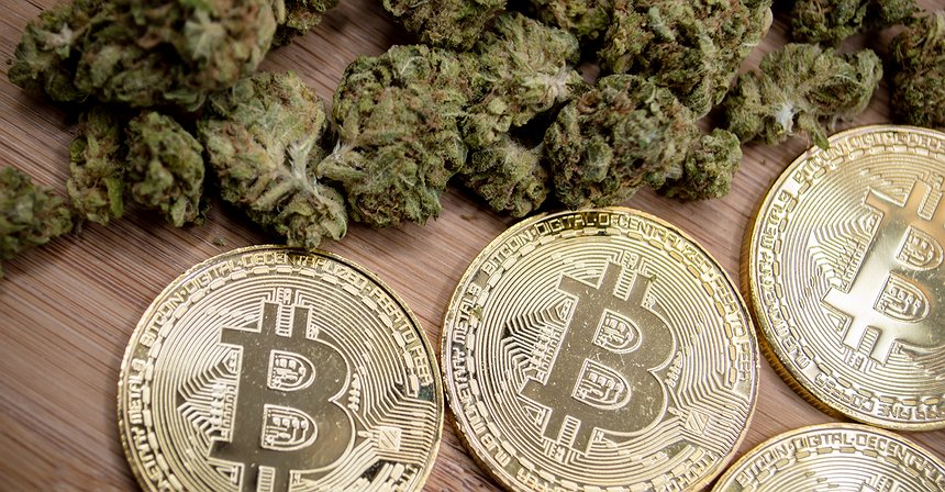 High On Hype: Cannabis Vs. Crypto