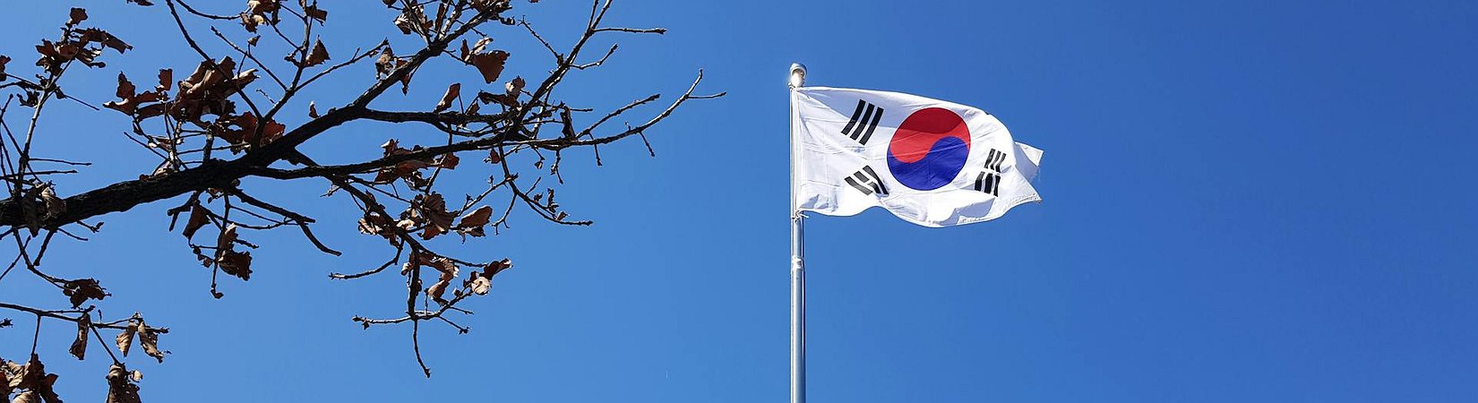 South Korea to Make its Crypto Research Unit Permanent