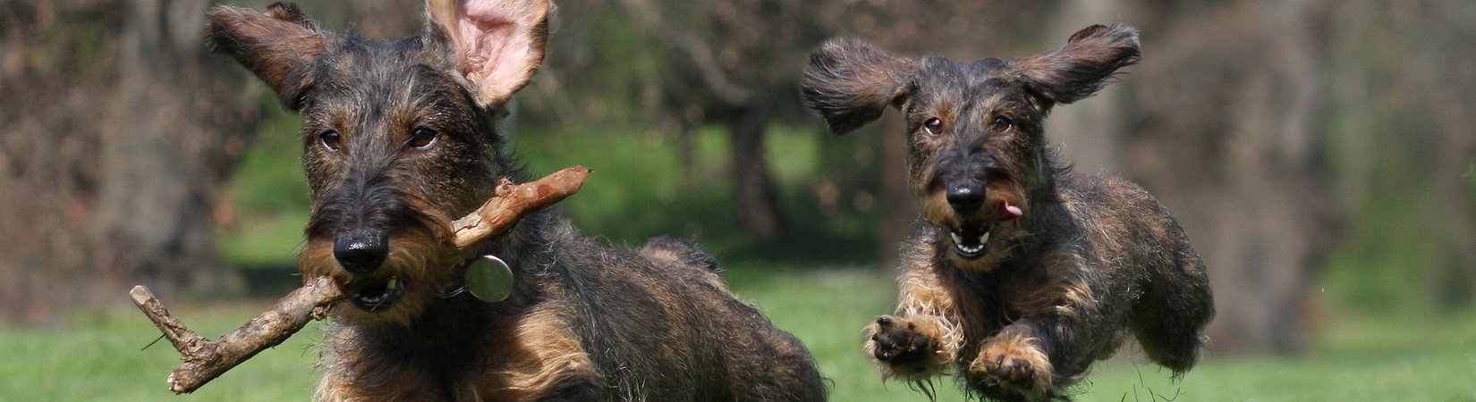 BCH Battlefield Update: Heading into Trench War?