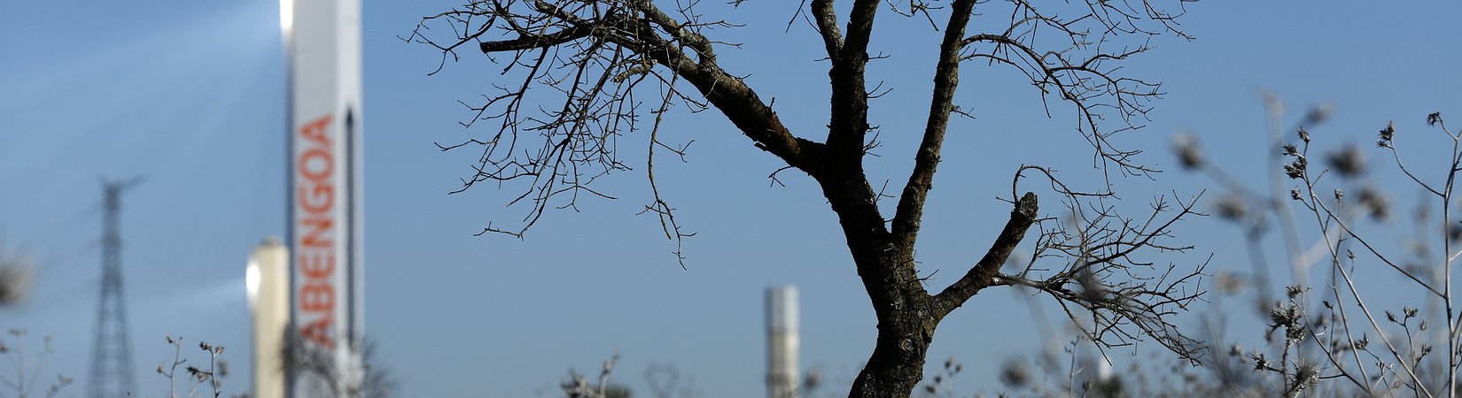 Brotes verdes para Abengoa