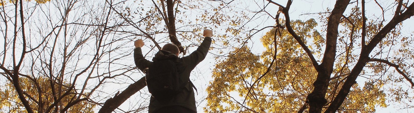 Principales noticias del 28/12/2020