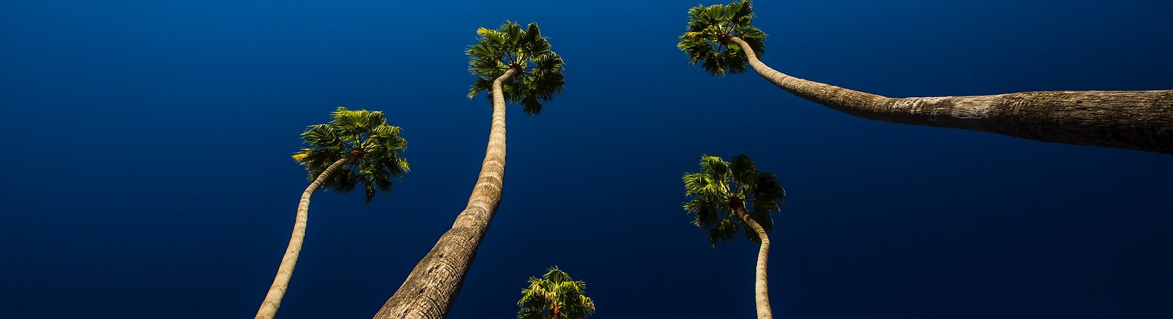 من EOS إلى Filecoin: أربع أكبر ICO في التاريخ