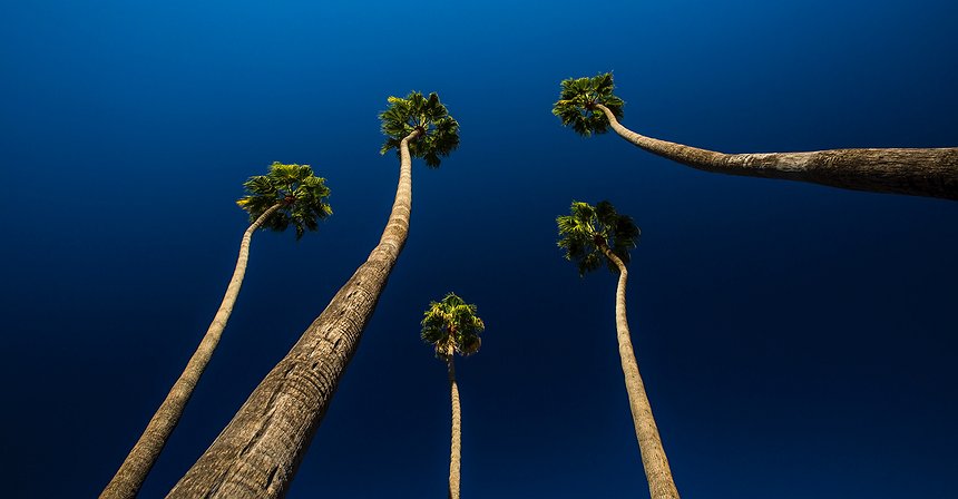 من EOS إلى Filecoin: أربع أكبر ICO في التاريخ