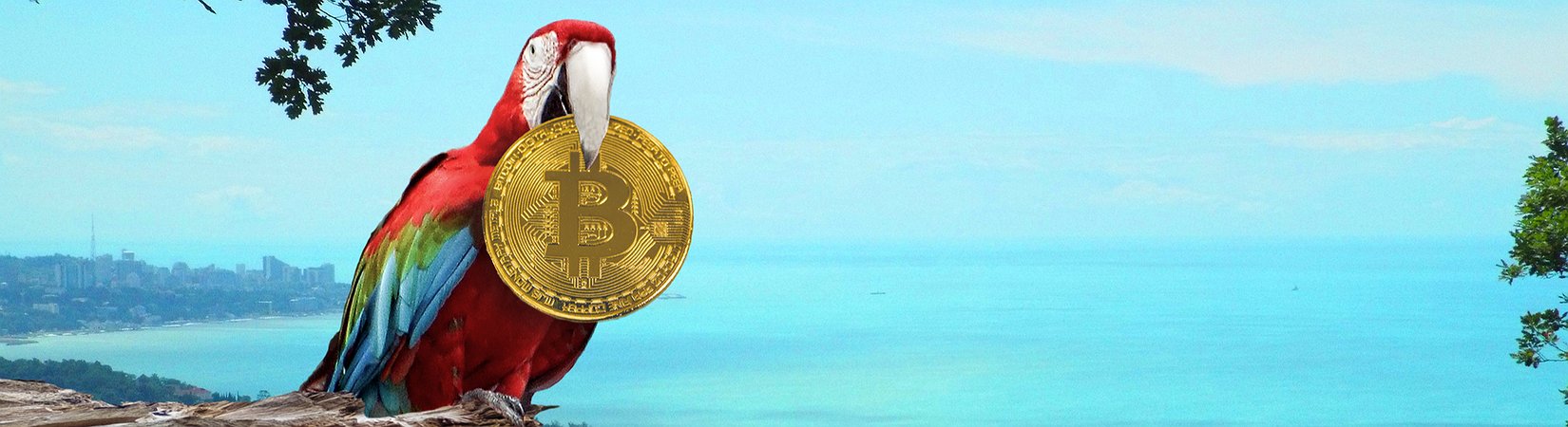 How Did Bitcoin Spend Its Summer?