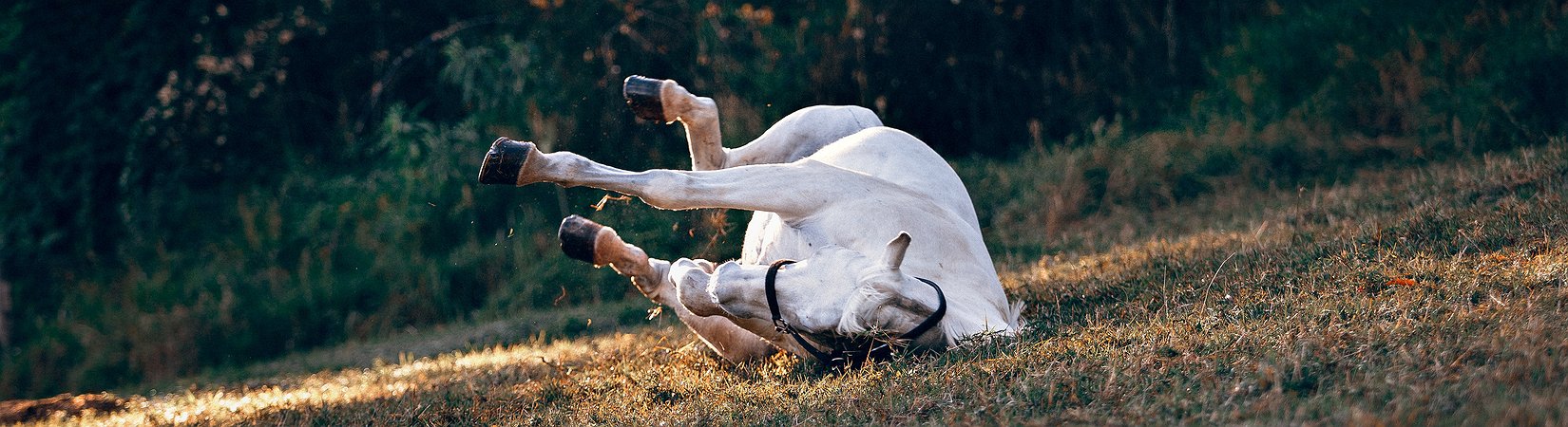 El bitcoin cae hasta los 8.200 $