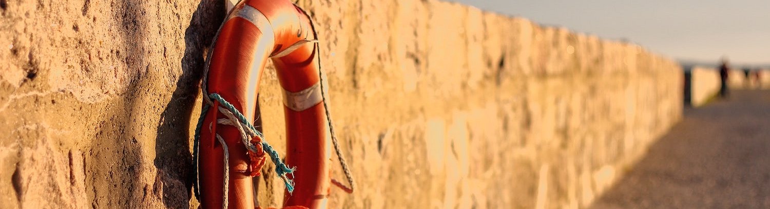 El director ejecutivo de Terraform anuncia un plan para salvar el UST