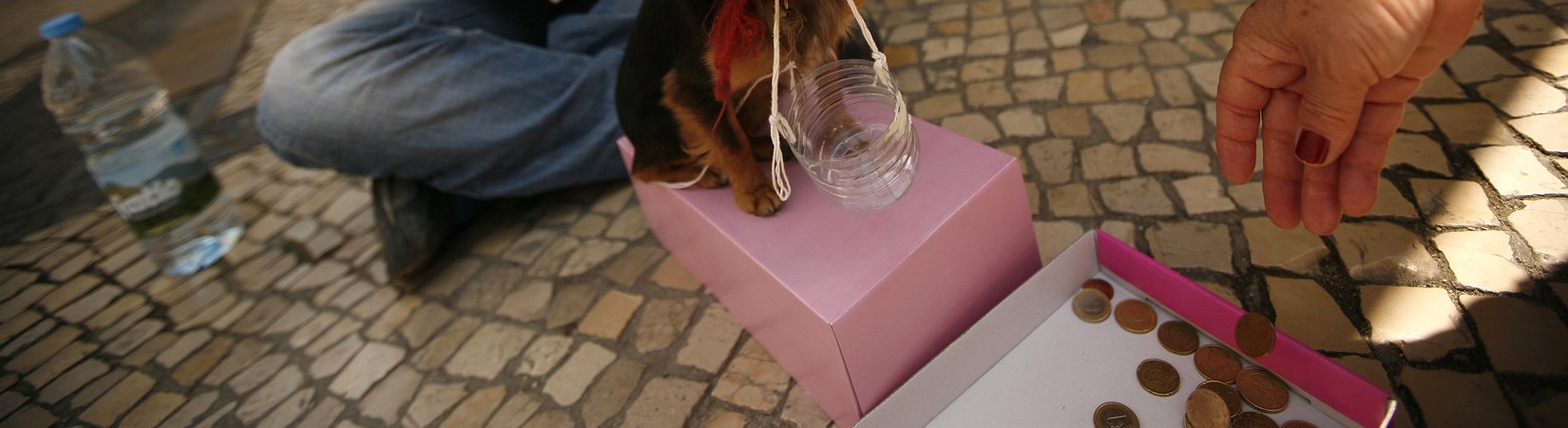 64 exdiputados piden al Congreso una indemnización