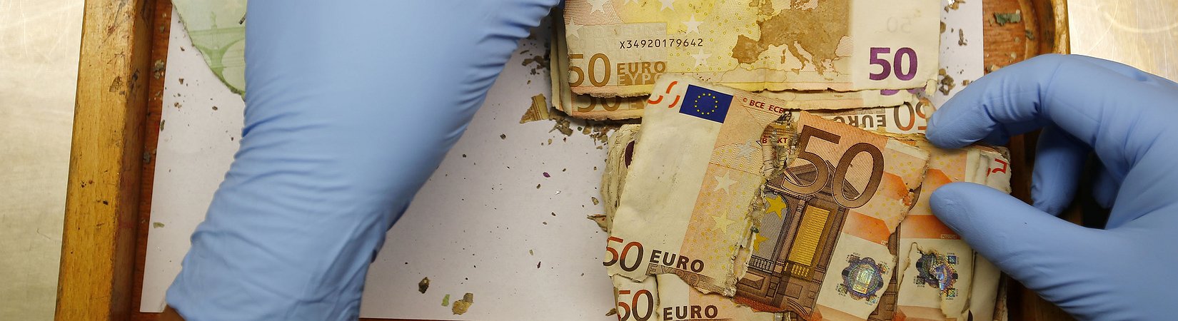 موجزعن تاريخ اليورو