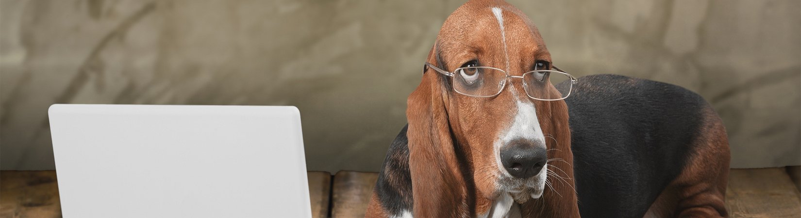 Dogecoin Twice Outperformed Bitcoin Cash by Transaction Volume