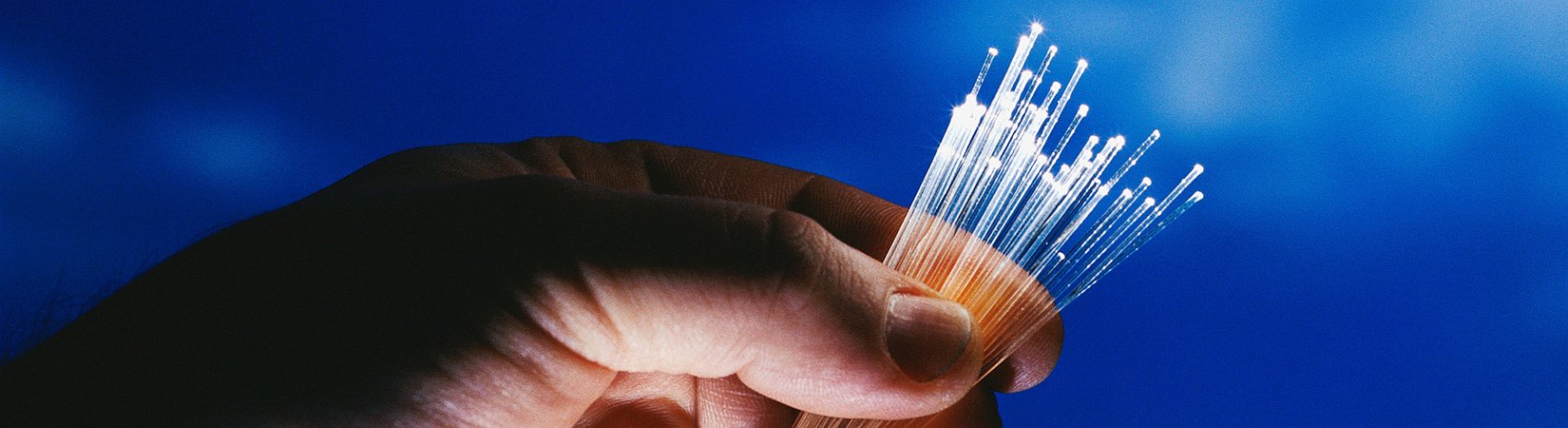 Deutsche Bank recomienda: las 5 acciones más prometedoras del sector tecnológico