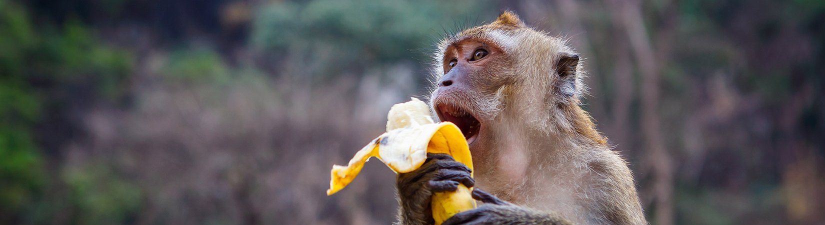 البيولوجيا والتسويق