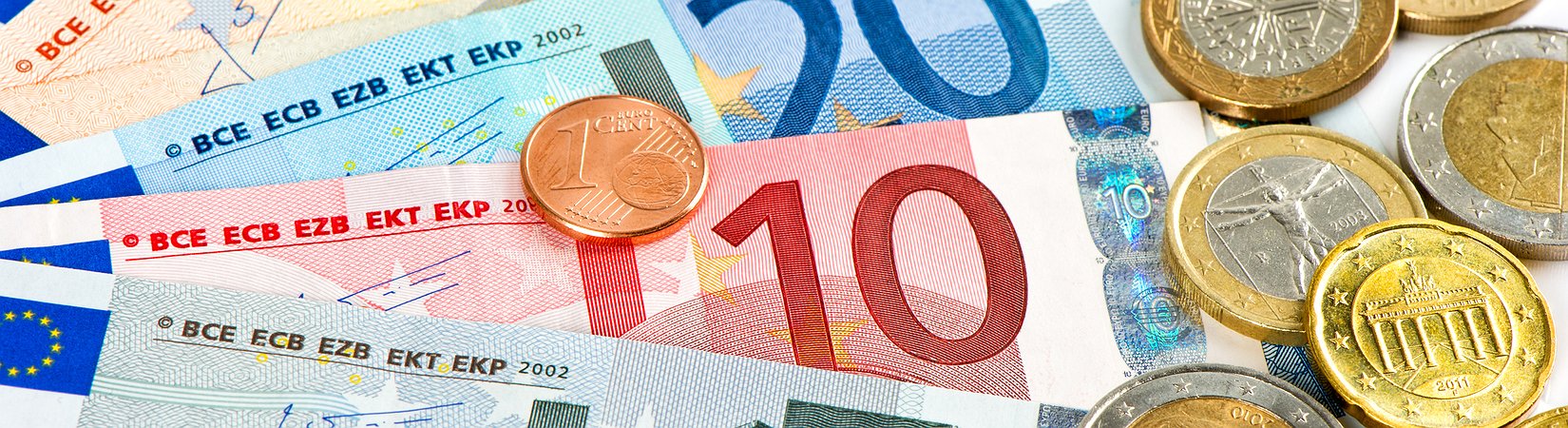 ¿Quién ha perdido más con la introducción del euro?