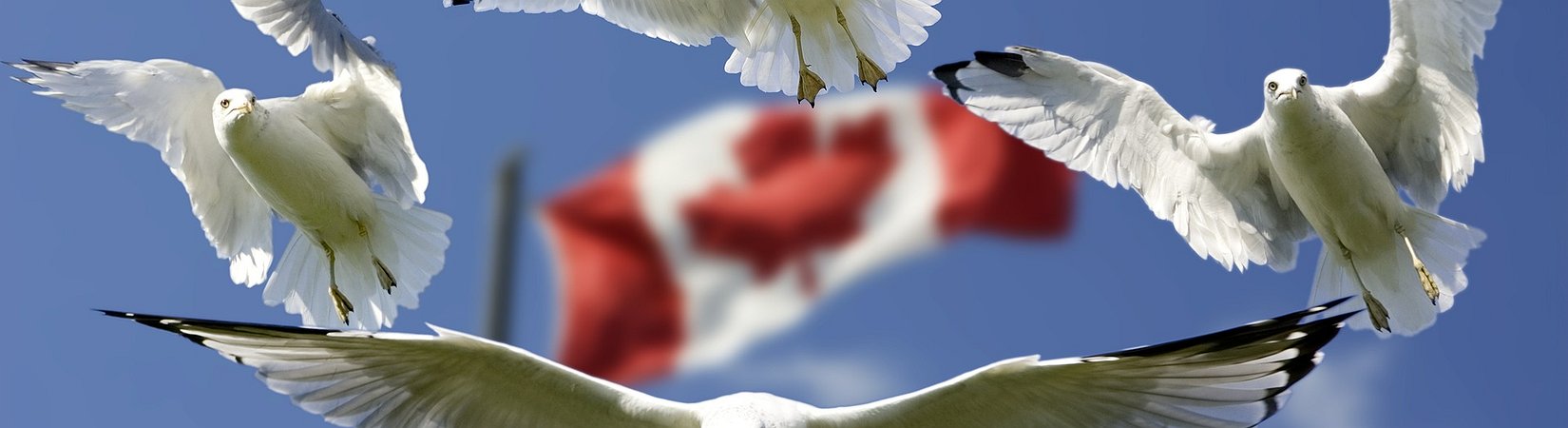 First Stablecoin Pegged to Canadian Dollar is Launched