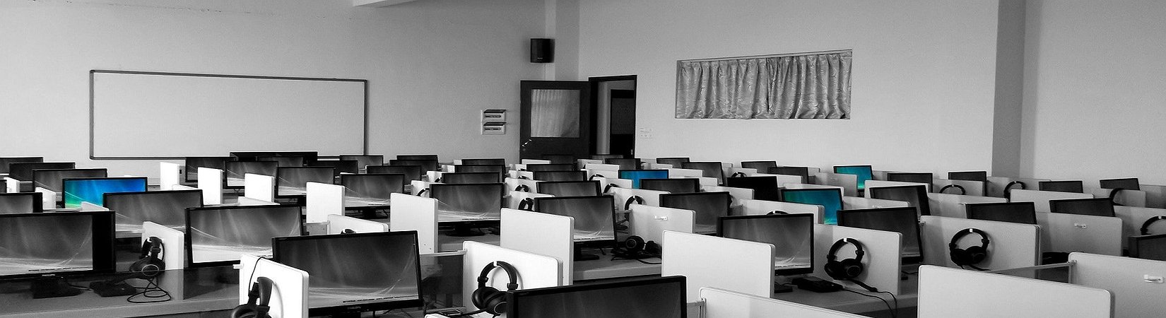 Dapper Labs Cuts 20% of Workforce to 'Strengthen Position in Market'