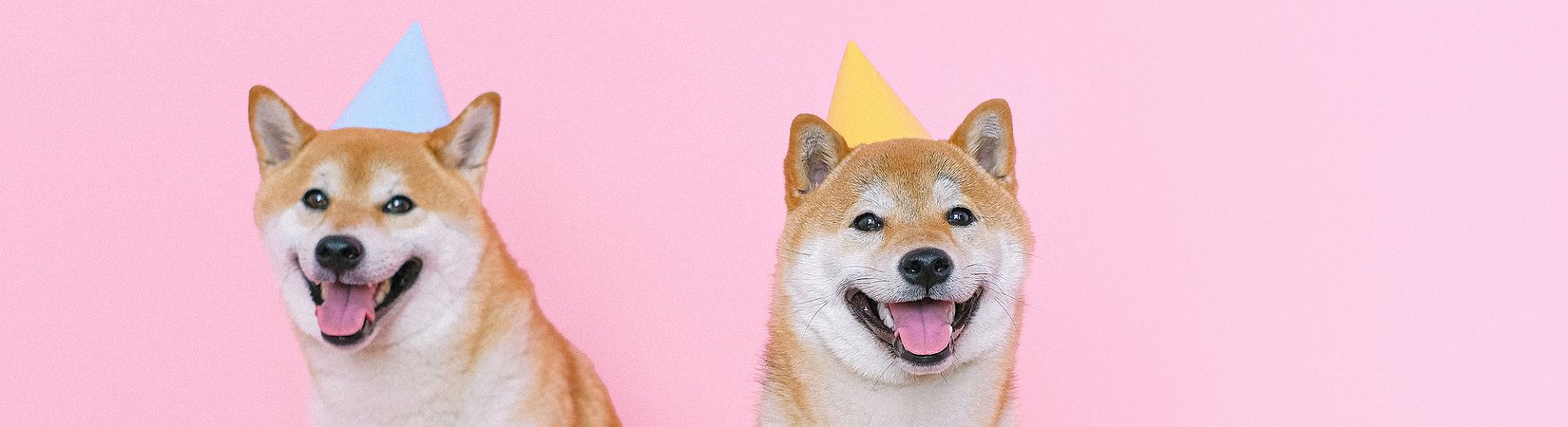 El minorista online Newegg empieza a aceptar Dogecoin