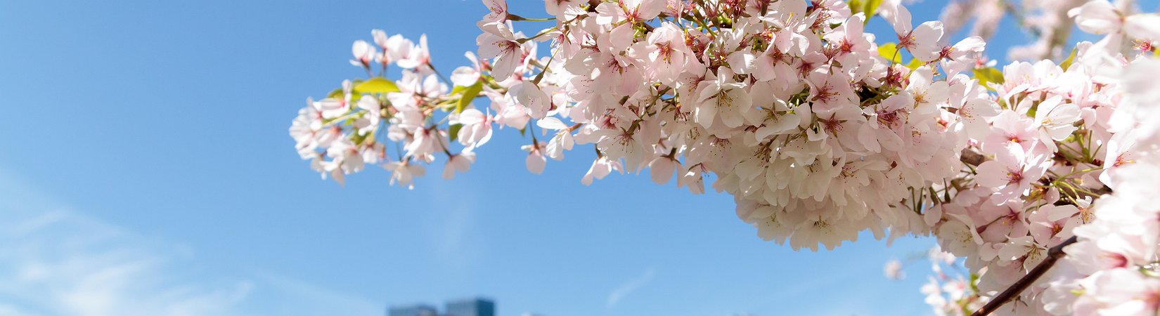 Las 5 mejores acciones que se pueden comprar este mes