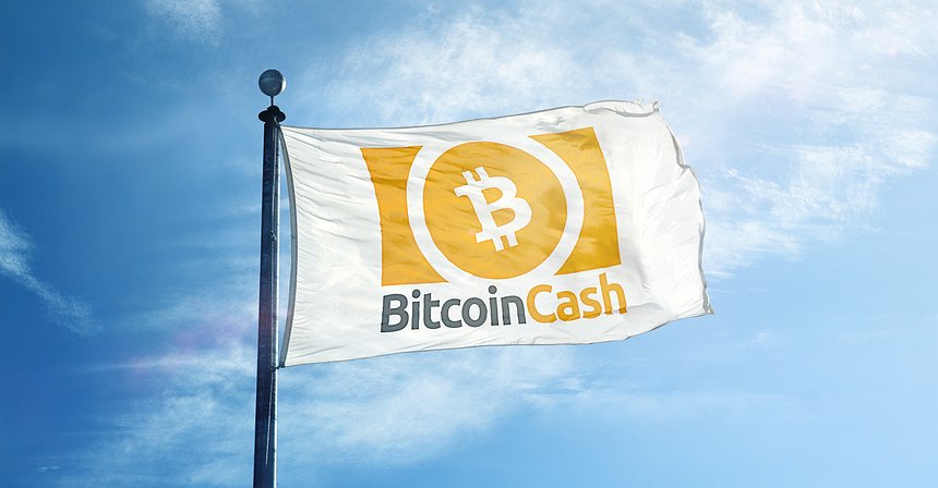 Criptomoedas: as últimas notícias de hoje, 7 de novembro