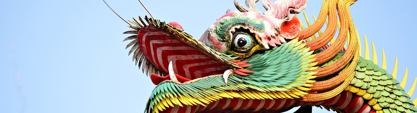 التخلف عن الدفع في الصين: الحبكات والتحقيقات