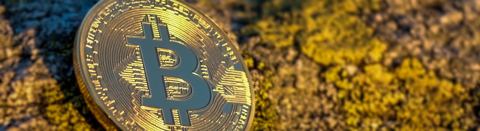 Principales noticias del 24/08/2021