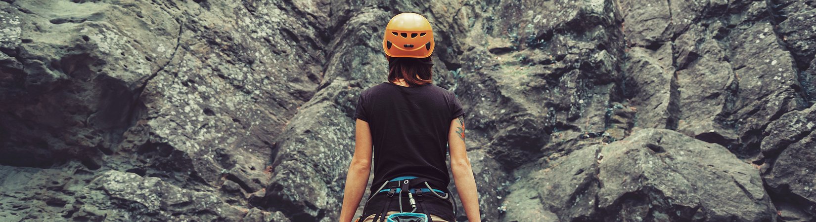 Gráfico mostra com que é que os investidores andam a sonhar