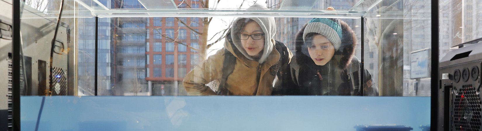 Cómo ganar dinero minando sin entender ni cómo funciona