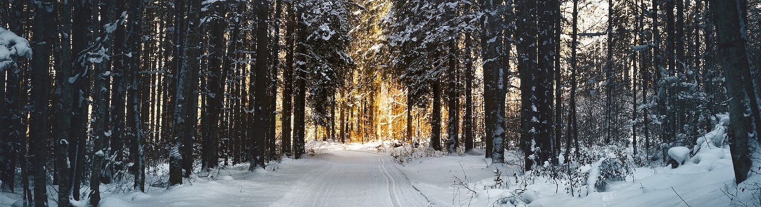 State Street: El invierno de las criptomonedas no ha asustado a los inversores institucionales