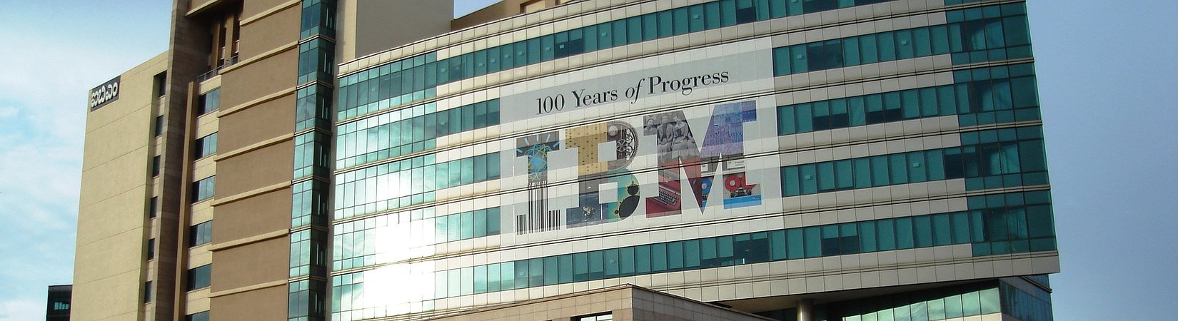 فكرة الاستثمار: IBM