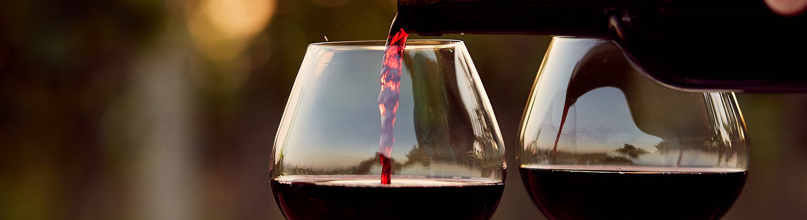 In vino veritas: ¿Cómo invertir en vino?