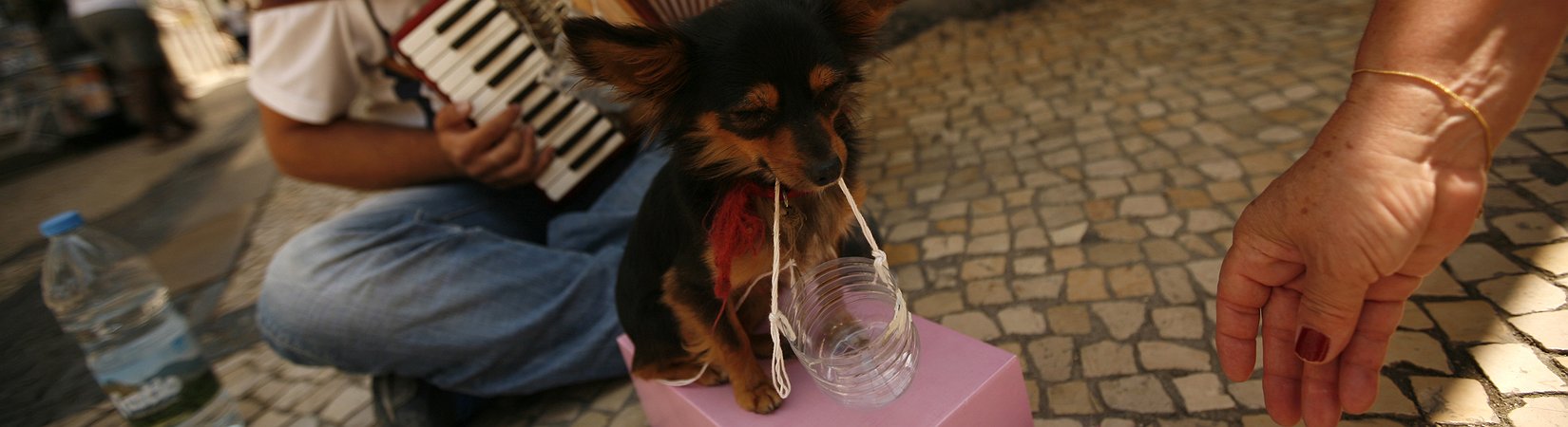 Não conte com a devolução da sobretaxa do IRS