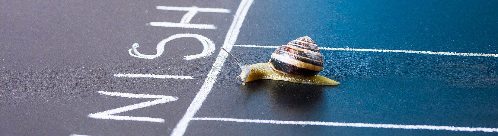 Una investigación acaba de revelar cuál es el intercambio más rápido