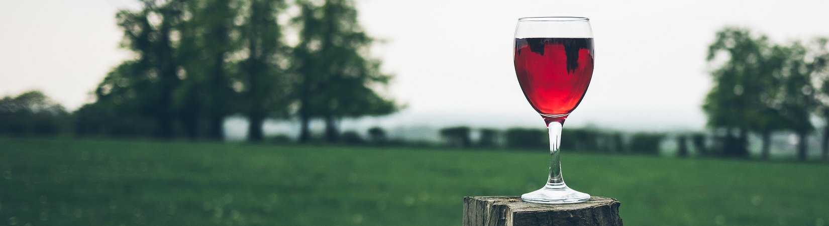 10 datos sorprendentes sobre el vino