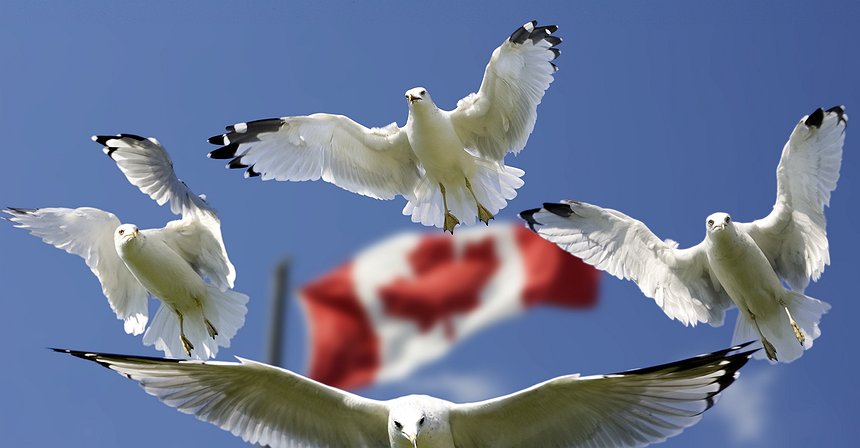 Principales noticias del 15/03/2019