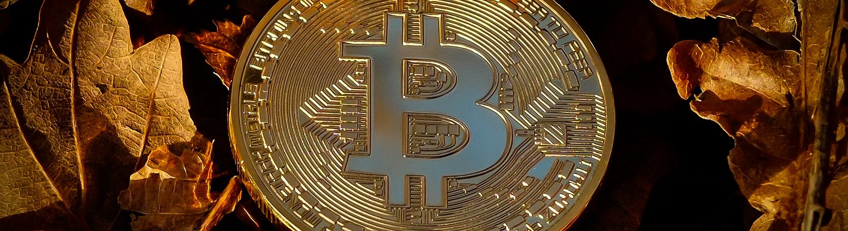 Over $200M Withdrawn From Crypto Exchanges After BTC Halving