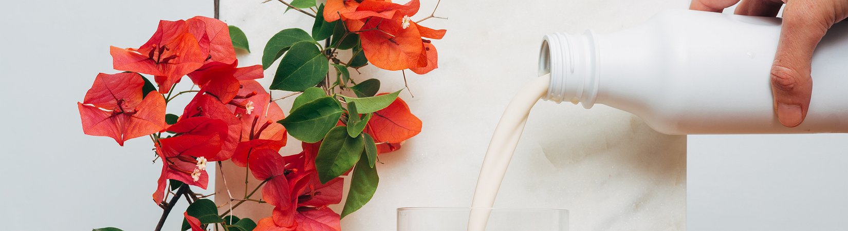 Soylent se une a la botella