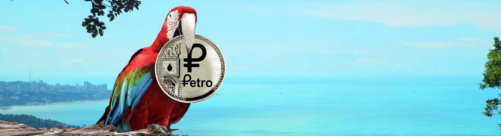 Venezuela to Collect Taxes Through Cryptos