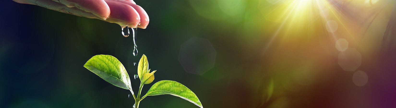   For Good’s Sake: Blockchain in Social Development