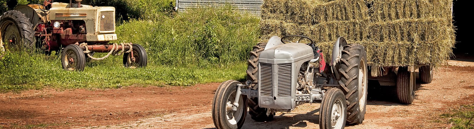 هل حان الأوان للخروج إلى التقاعد؟