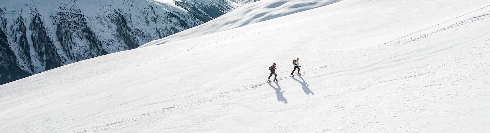 Bernstein: El bitcoin alcanzará los 150.000 dólares