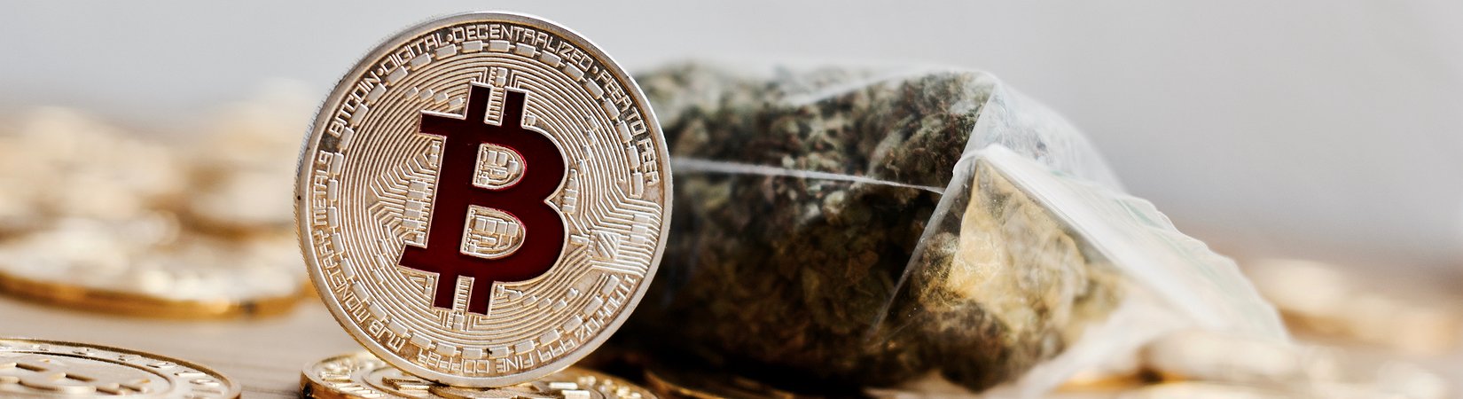 Estudo sugere que 25% dos utilizadores de bitcoins estão associados a atividade ilegal