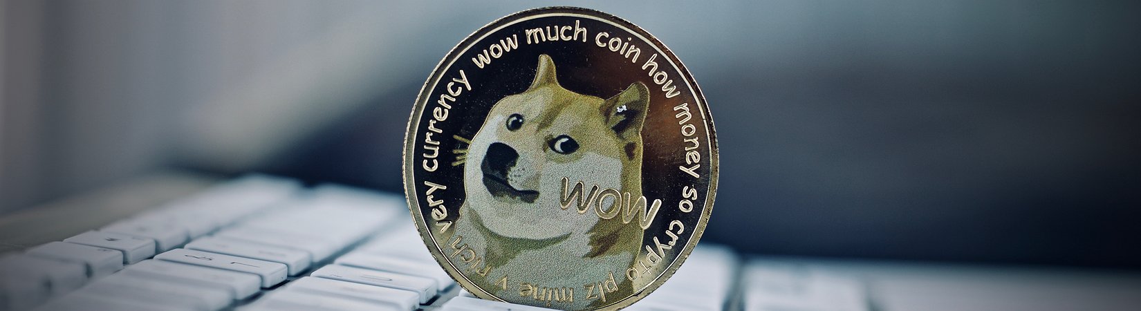 Elon Musk Pushes the Dogecoin Price Up Again
