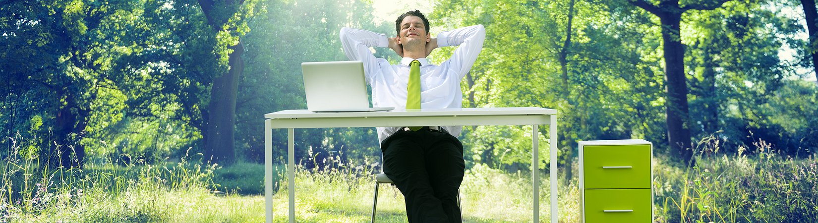 دليل المستثمرين المبتدئين