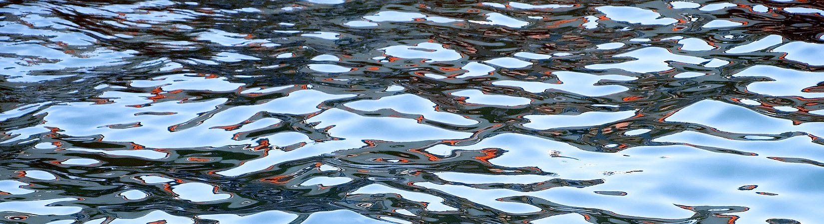 كيف يمكن كسب المال في ظروف الضوضاء والفوضى في السوق