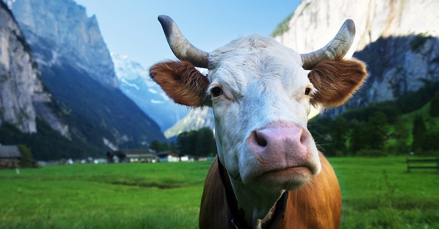 Switzerland: Global Hub for Crypto