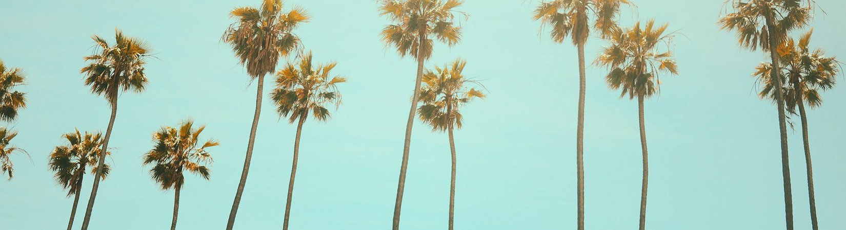 California aprueba un proyecto de ley sobre criptopagos