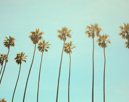 California aprueba un proyecto de ley sobre criptopagos