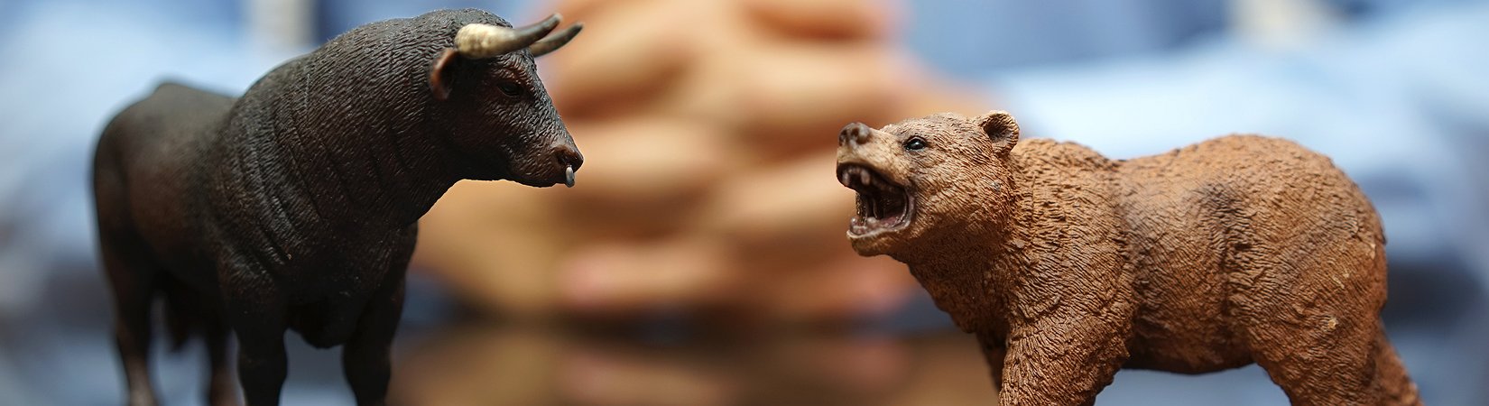 ¿Durante cuánto los osos reemplazarán a los toros?