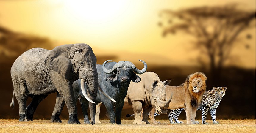 5 Biggest ICOs in History