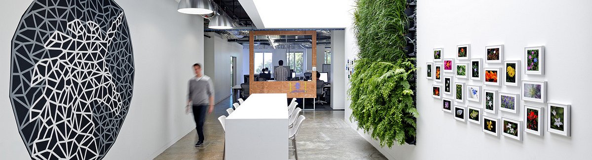 صور: المجمع الخيالي للـFacebook