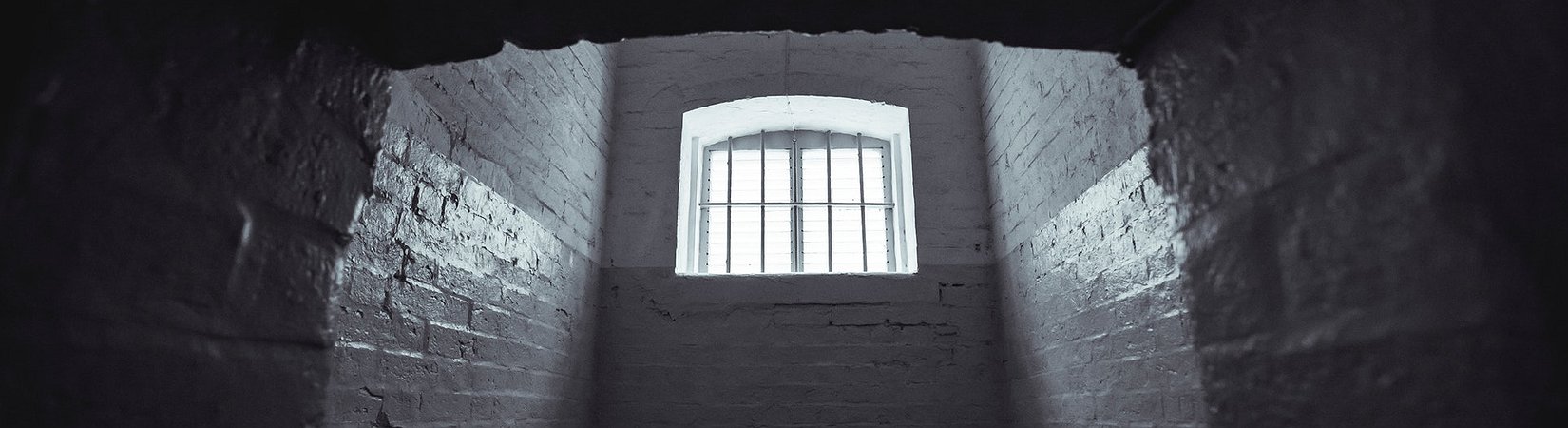 Coinup Founder Sentenced to 16 Years in Jail