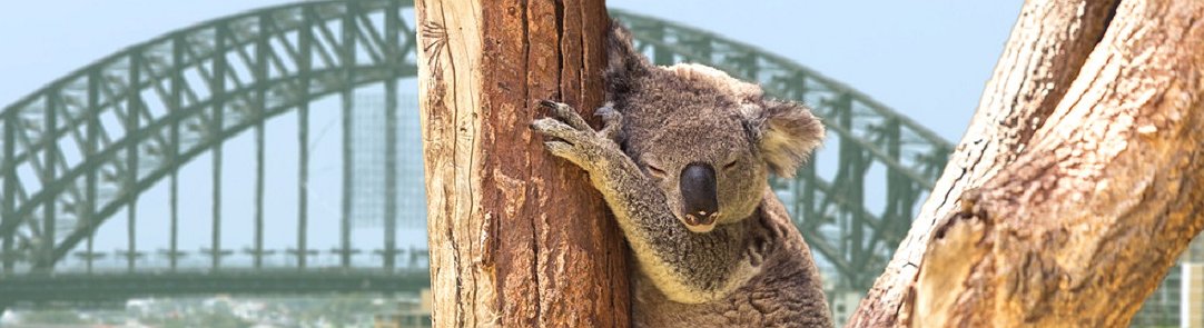 Mercato delle criptovalute: le top news del 23/8/2018